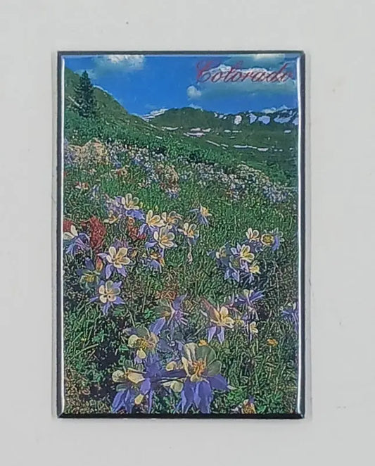 Field of Columbines Magnet Round The Mountain Gift Shop