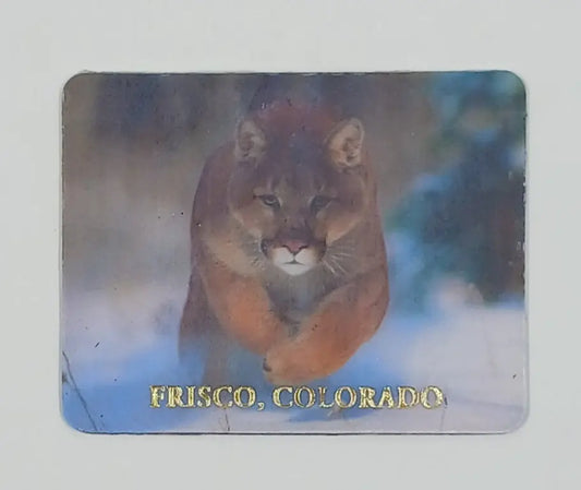Mountain Lion Running In Snow Magnet Round The Mountain Gift Shop